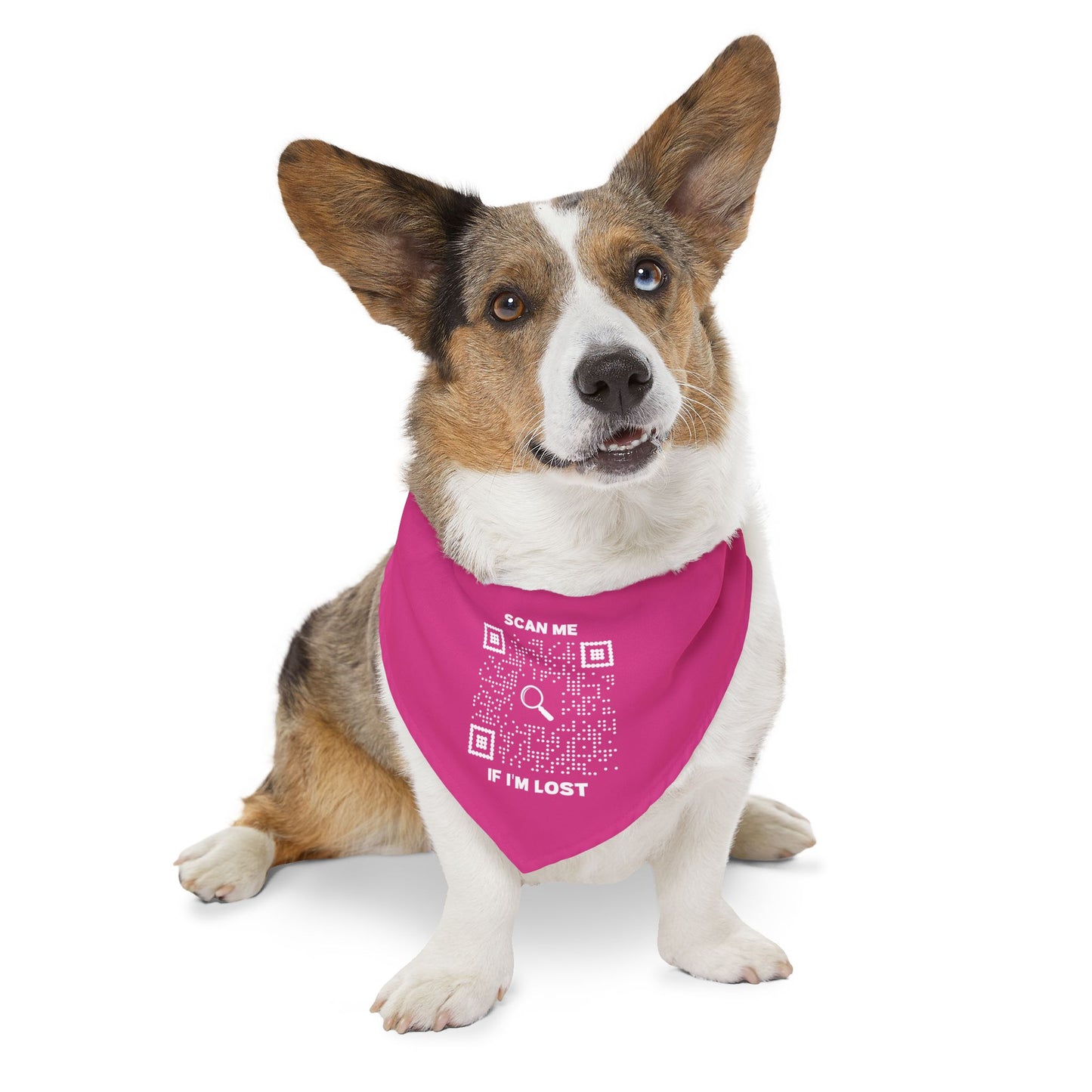 Pet Collection – Pet Bandana Collar – Fuchsia – Scan Me If I'm Lost