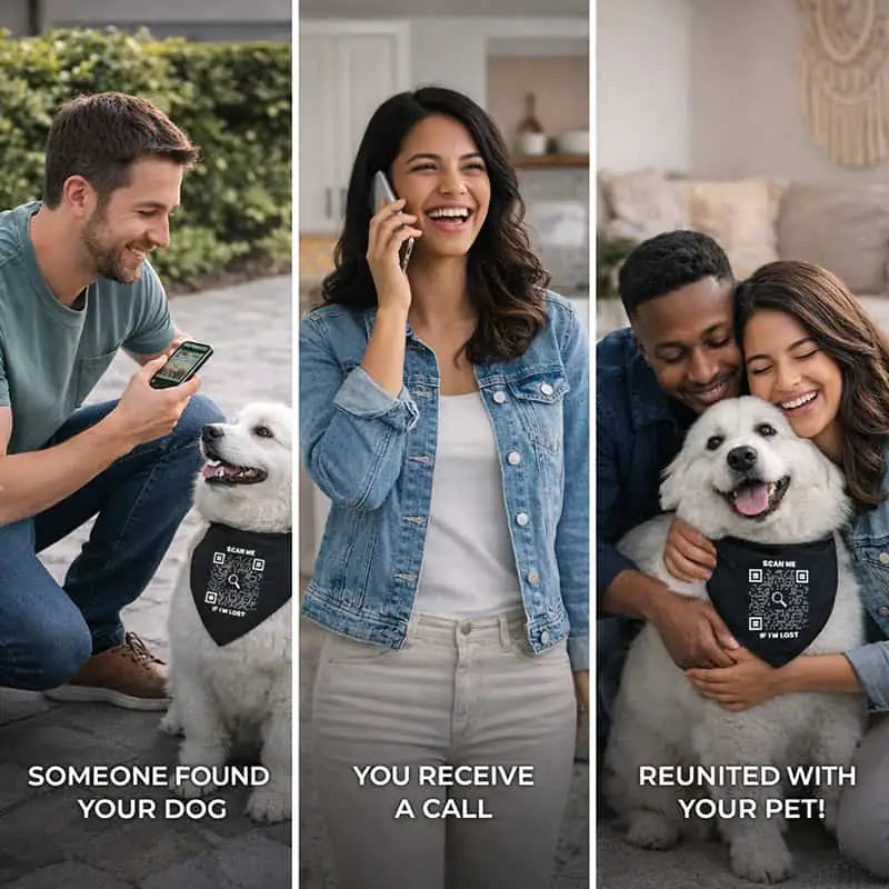 Bandana Collar – Scan Me If I'm Lost