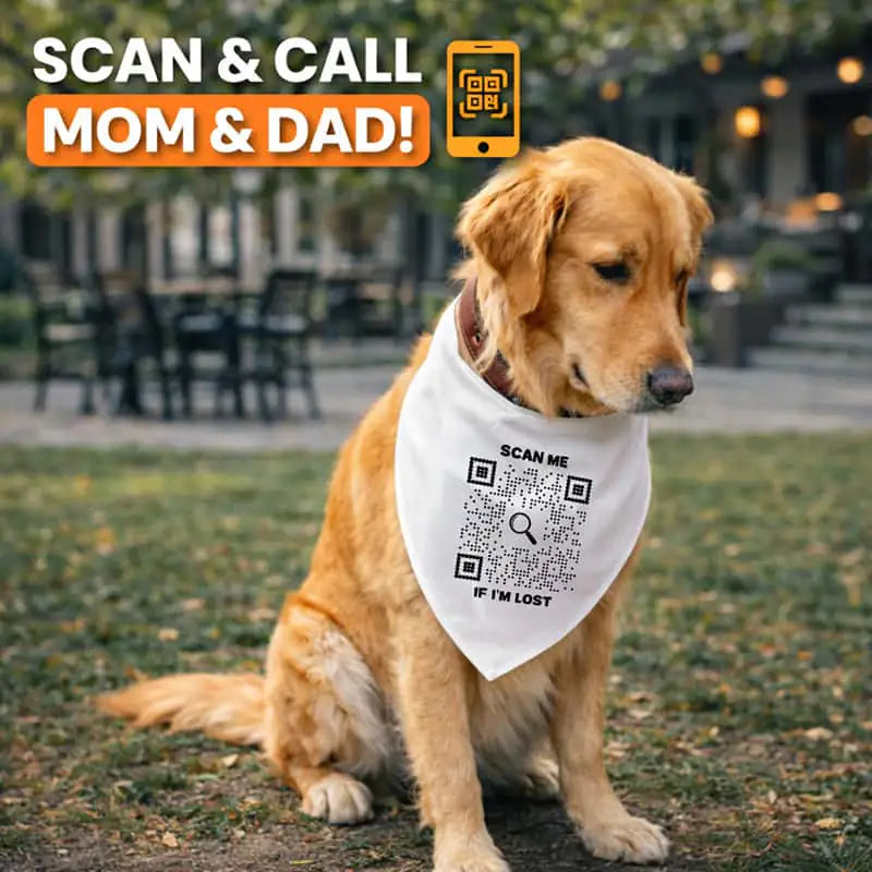 Bandana Collar – Scan Me If I'm Lost