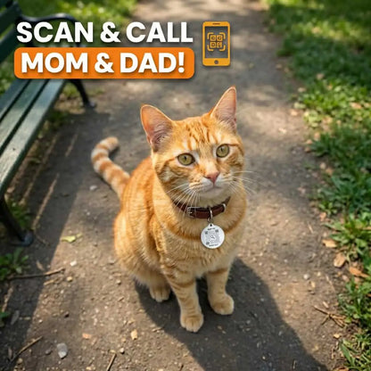 Cat Tag – Scan Me If I'm Lost