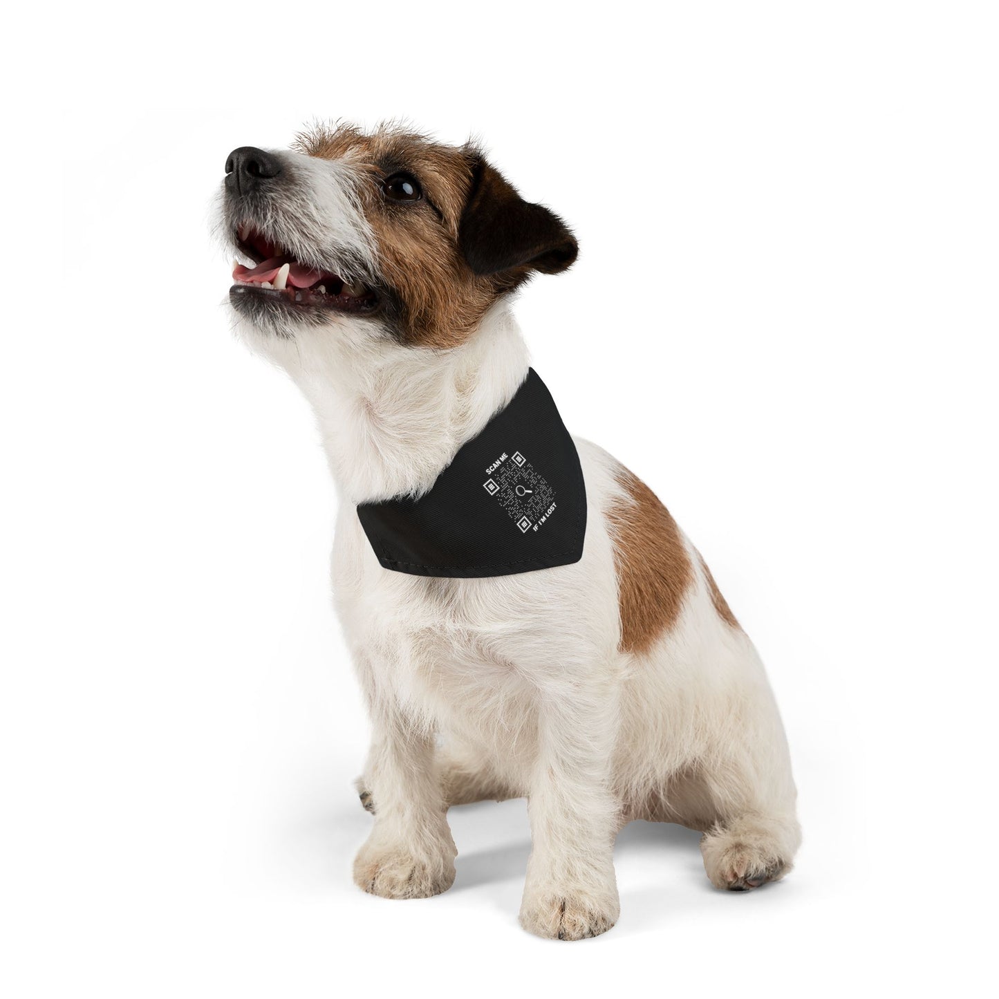 Pet Collection – Pet Bandana Collar – Black – Scan Me If I'm Lost