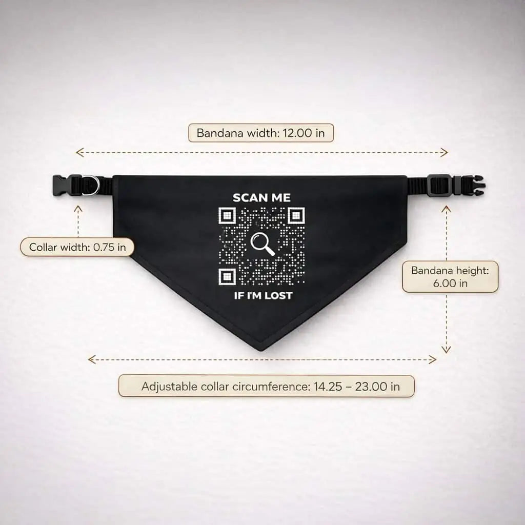 Black S