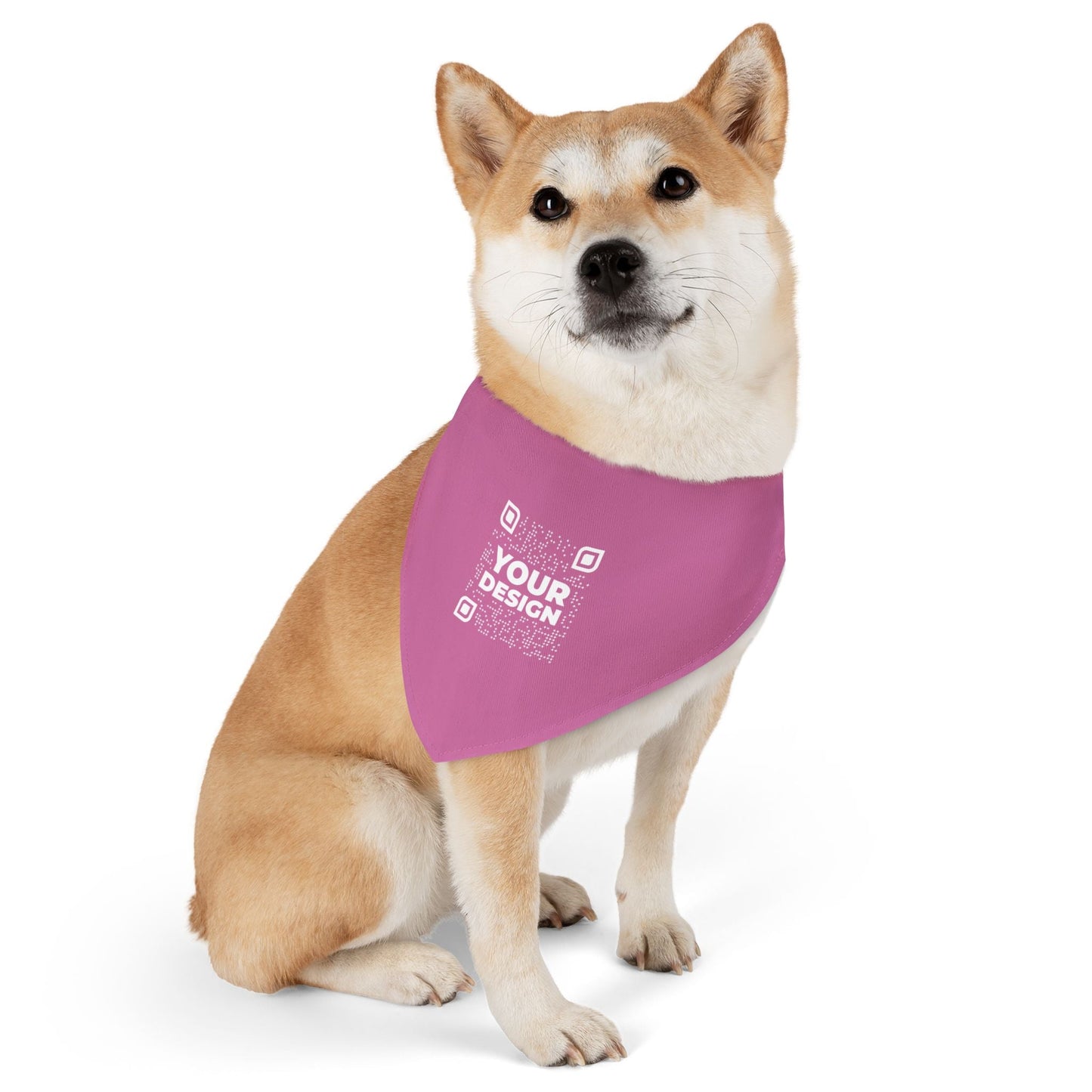 Bandana Collar – Pink - QR NATION