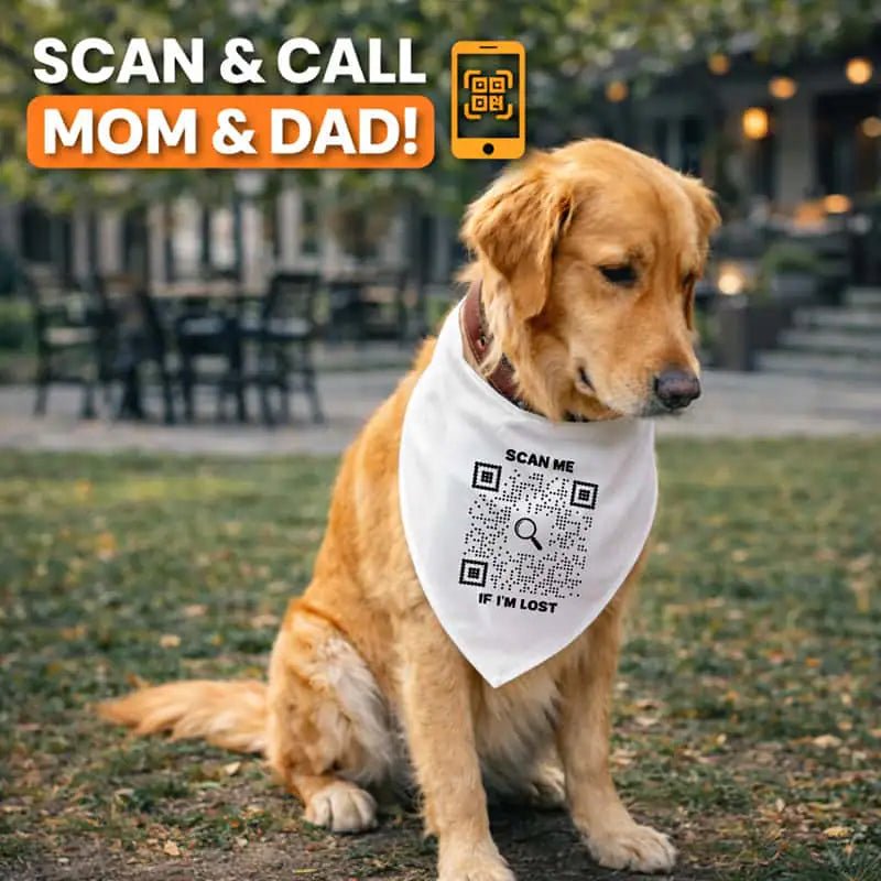 Bandana Collar – Scan Me If I'm Lost - QR NATION