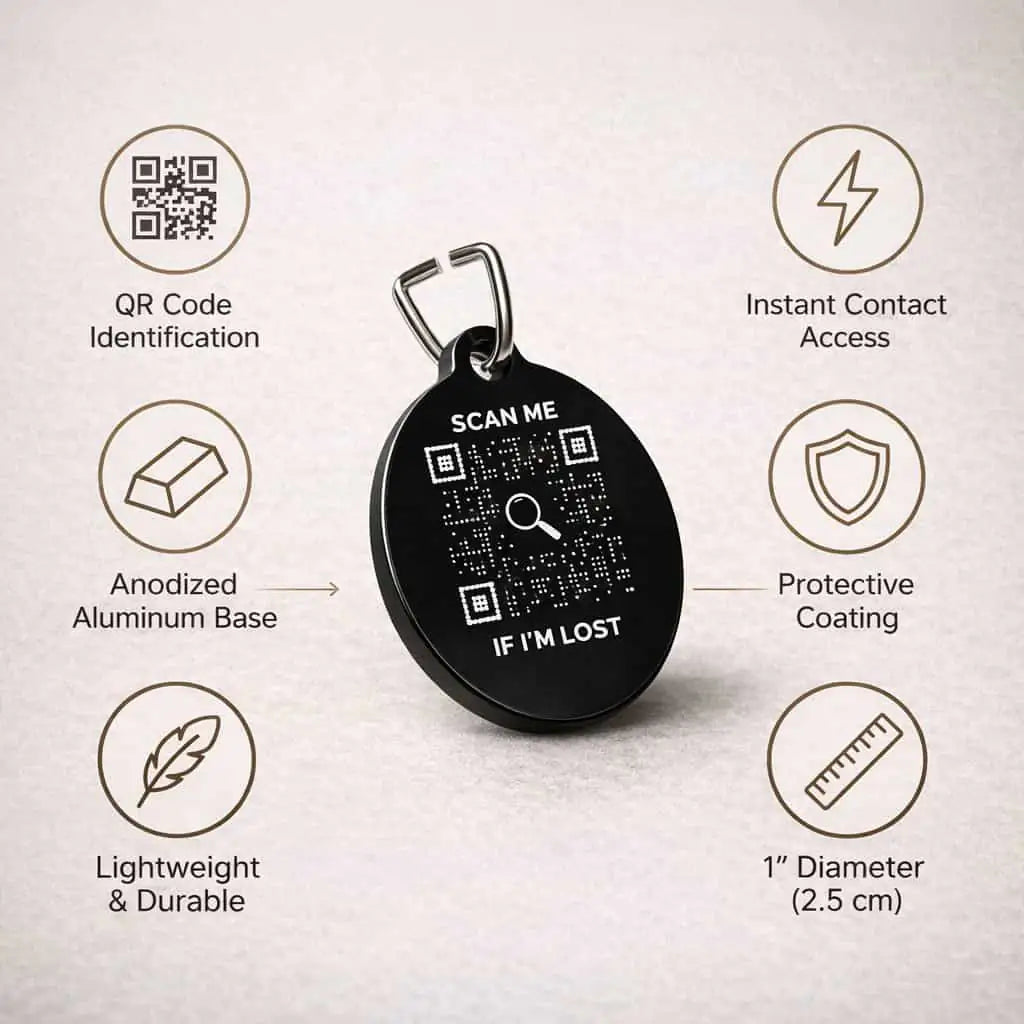 Cat Tag – Scan Me If I'm Lost - QR NATION