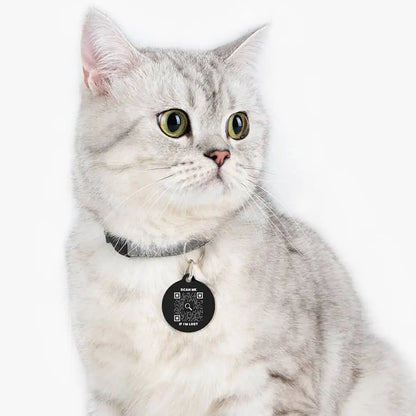 Cat Tag – Scan Me If I'm Lost - QR NATION