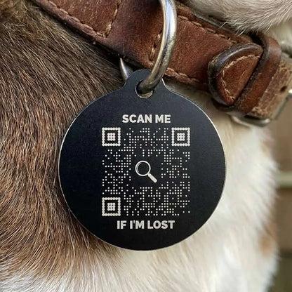Cat Tag – Scan Me If I'm Lost - QR NATION