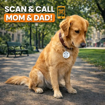 Dog Tag – Scan Me If I'm Lost - QR NATION