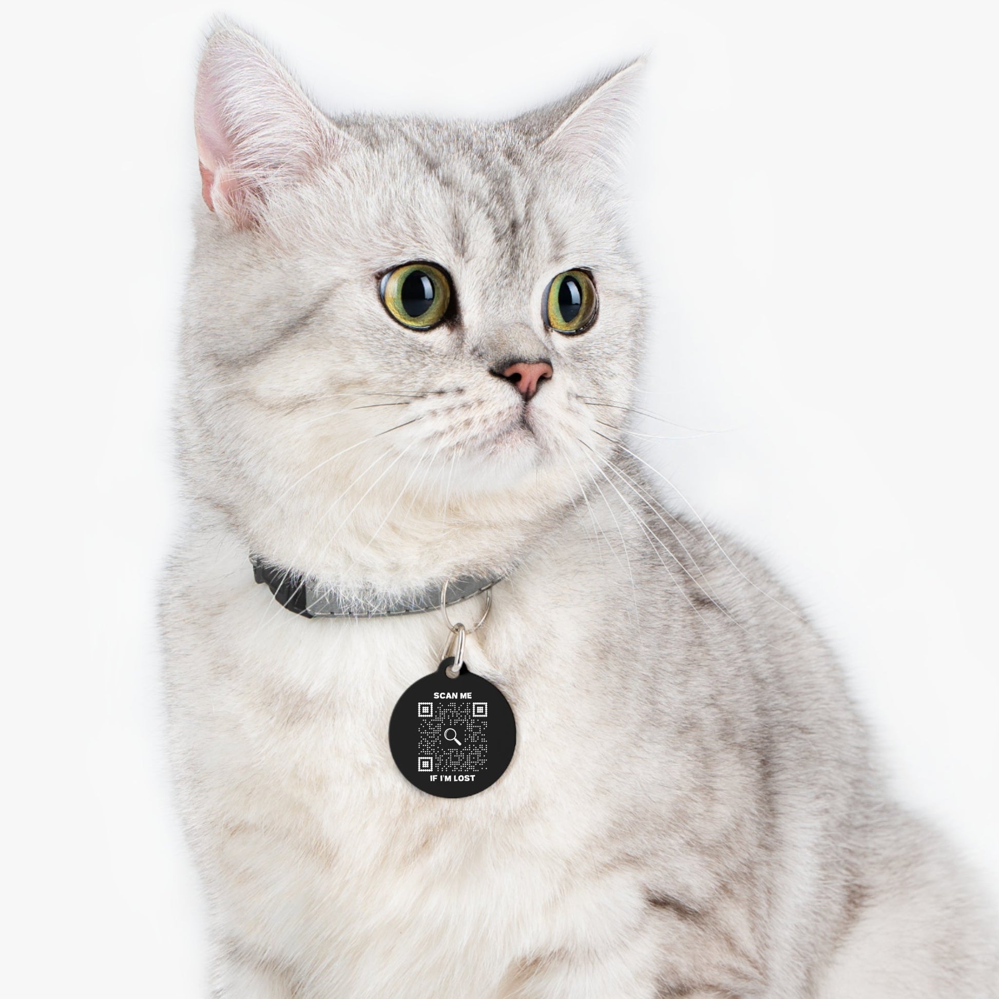 Lost & Found – Cat Tag – Black – Scan Me If I'm Lost - QR NATION