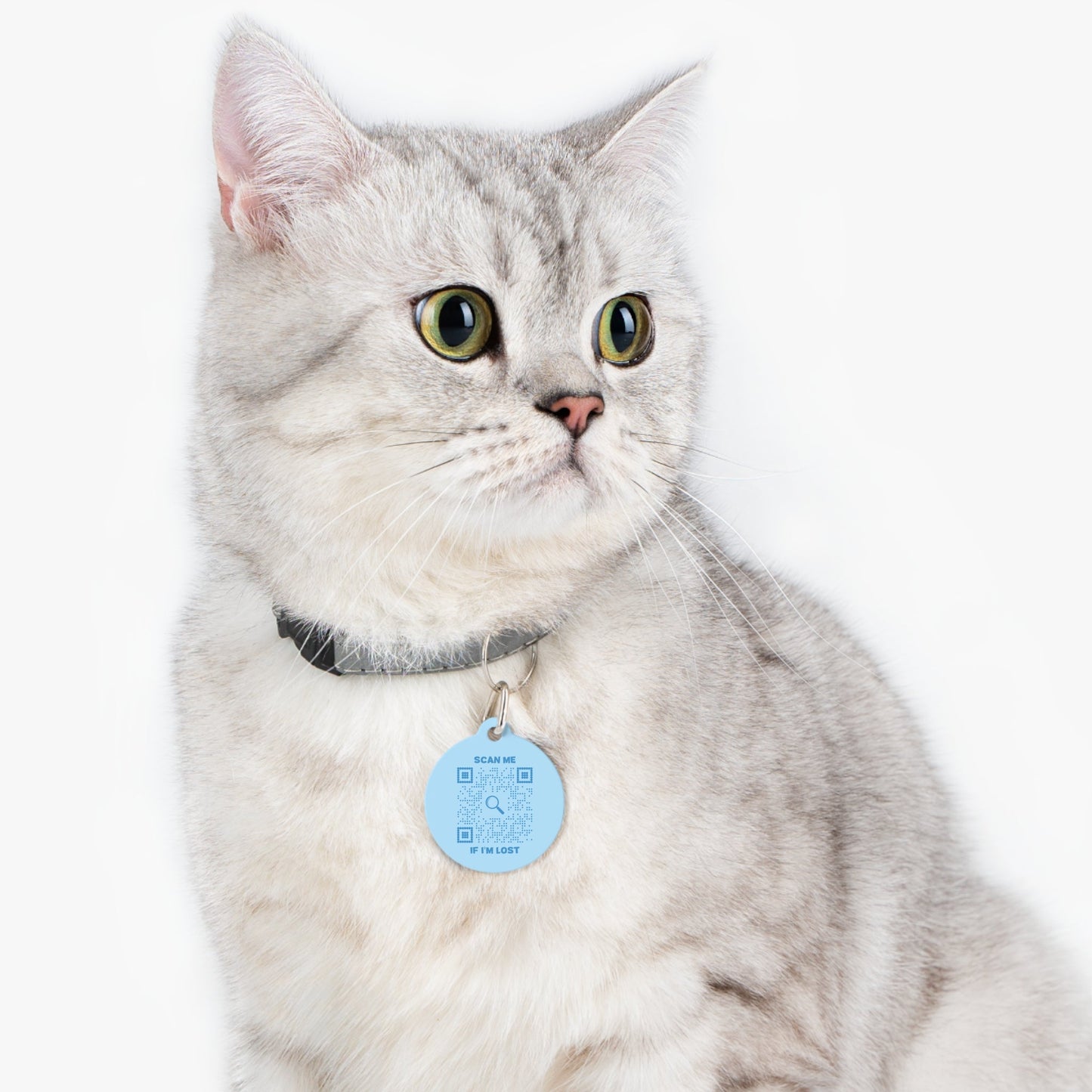 Lost & Found – Cat Tag – Blue – Scan Me If I'm Lost - QR NATION