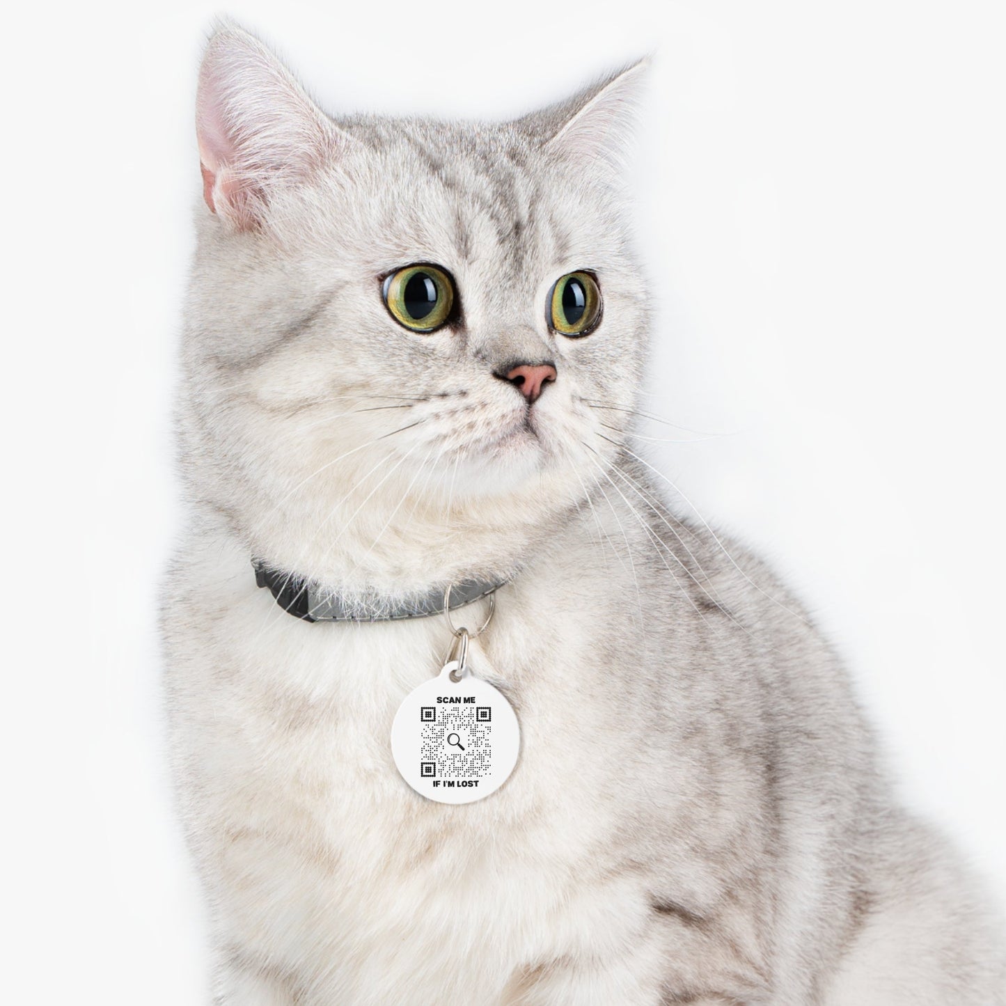 Lost & Found – Cat Tag – White – Scan Me If I'm Lost - QR NATION