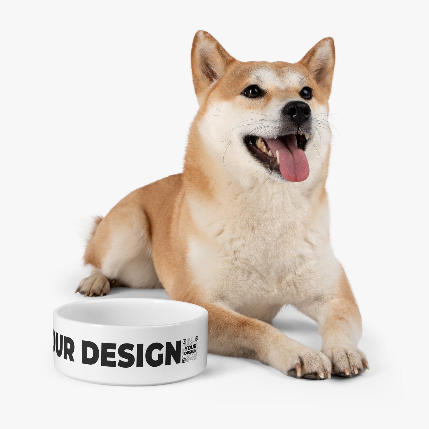 Pet Bowl - QR NATION