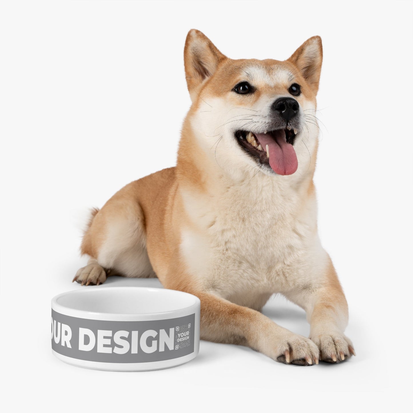 Pet Bowl - QR NATION