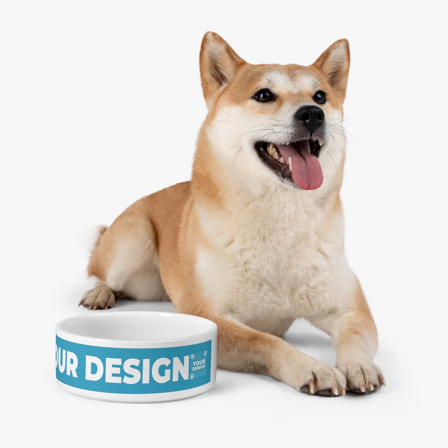 Pet Bowl - Turquoise - QR NATION