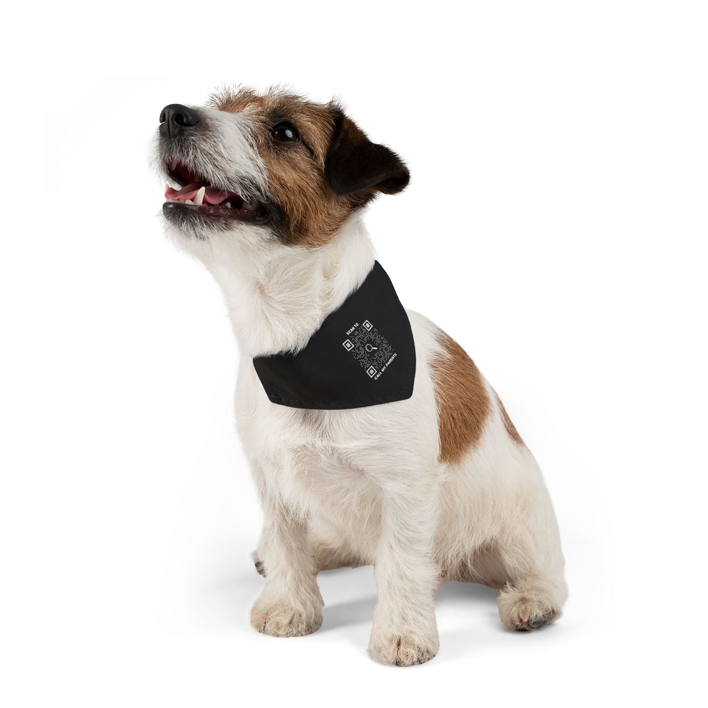 Pet Collection – Bandana Collar – Black – Scan to Call My Parents - QR NATION
