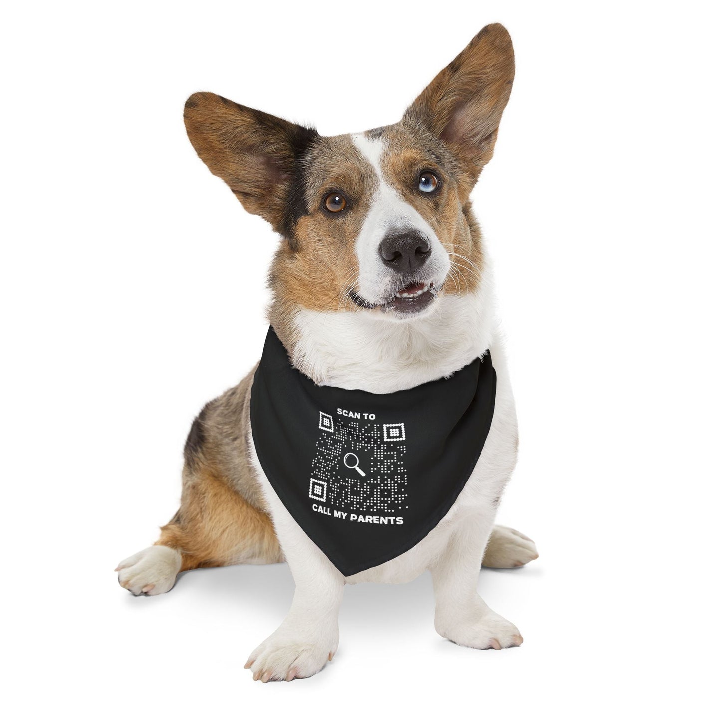 Pet Collection – Bandana Collar – Black – Scan to Call My Parents - QR NATION