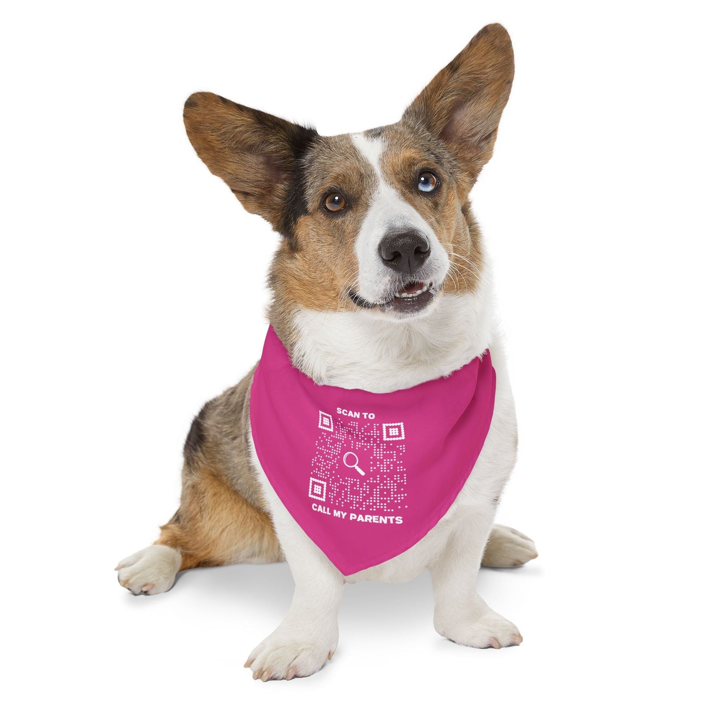 Pet Collection – Bandana Collar – Fuchsia – Scan to Call My Parents - QR NATION