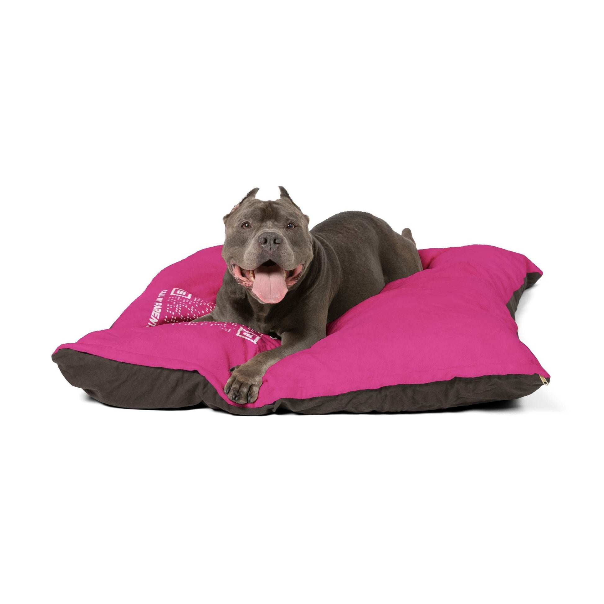 Pet Collection – Bed – Fuchsia – Scan to Call My Parents - QR NATION