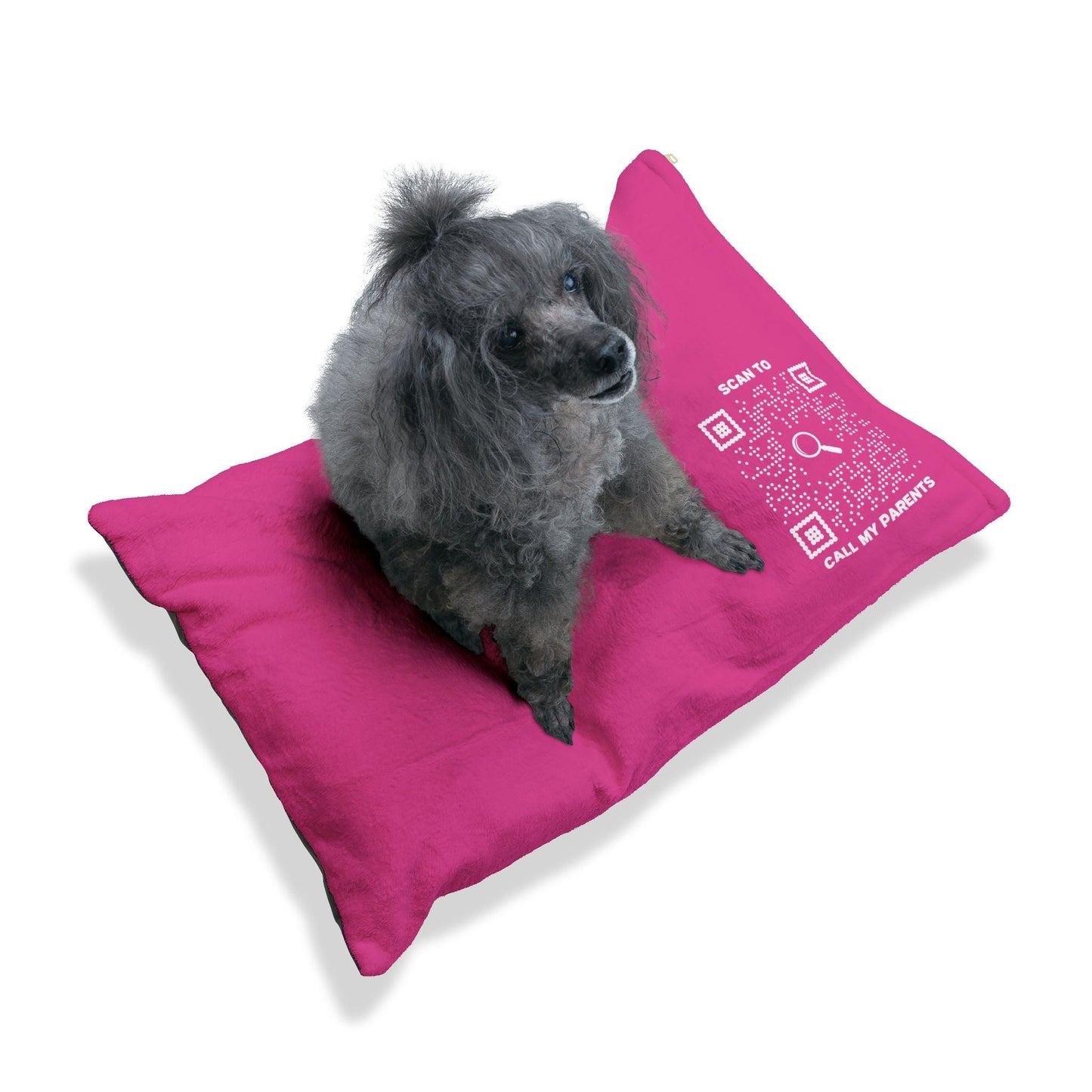 Pet Collection – Bed – Fuchsia – Scan to Call My Parents - QR NATION