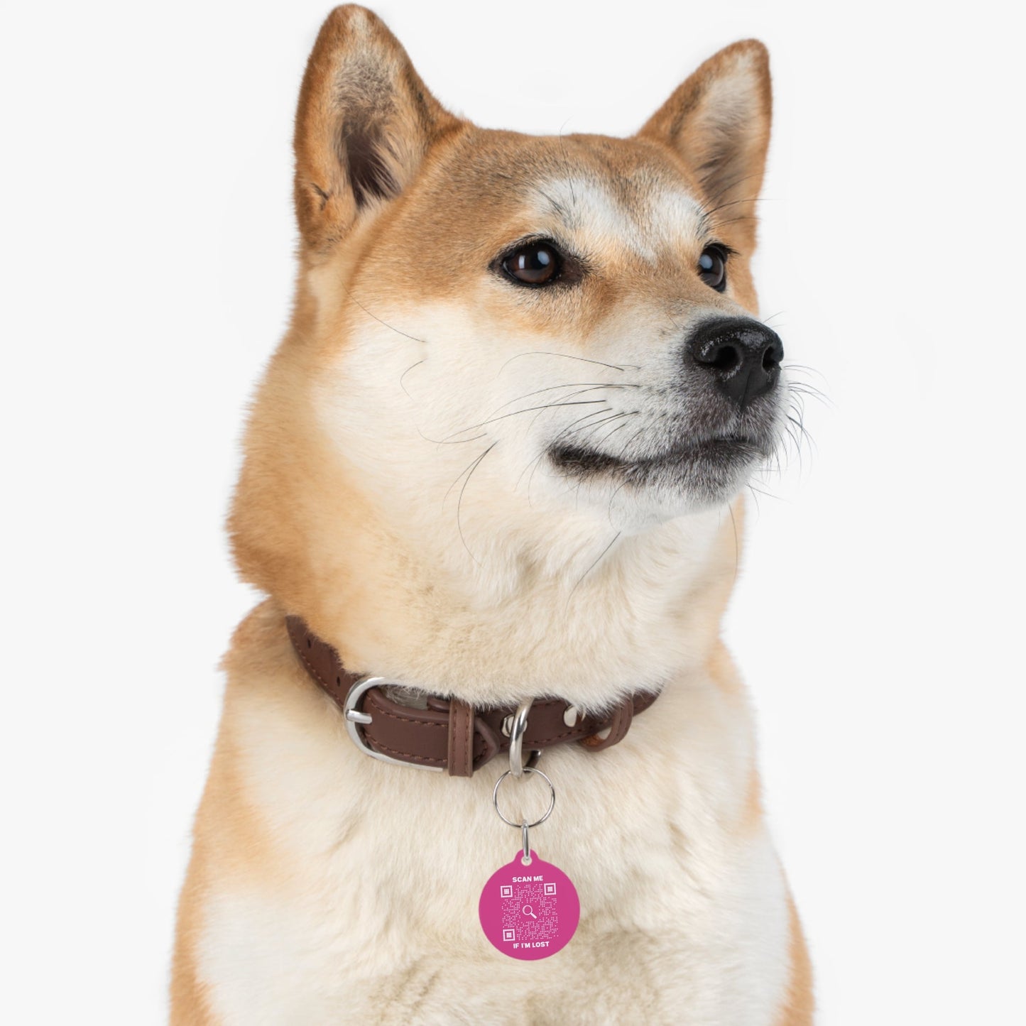 Pet Collection – Dog Tag – Fuchsia – Scan Me If I'm Lost - QR NATION