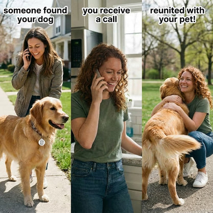 Pet Collection – Dog Tag – White – Scan Me If I'm Lost - QR NATION