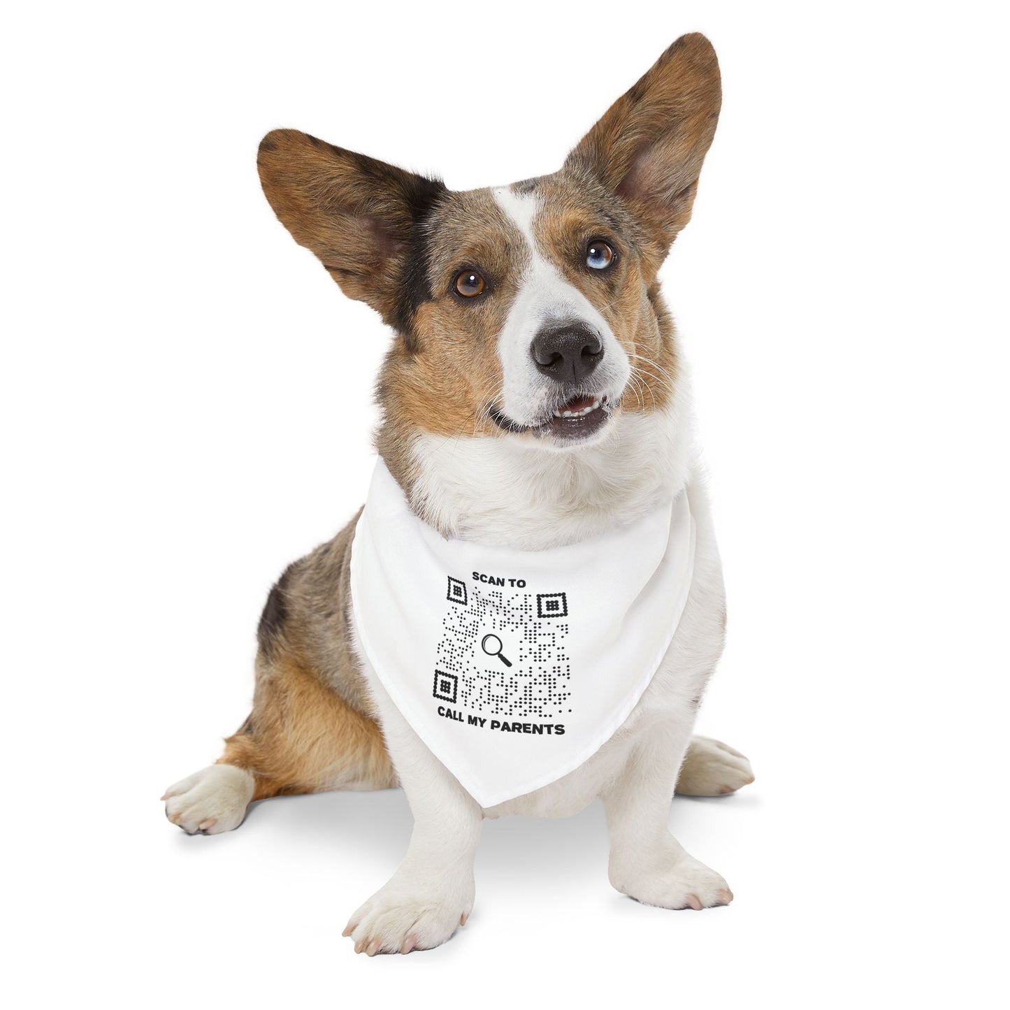 Pet Collection – Pet Bandana Collar – White – Scan to Call My Parents - QR NATION