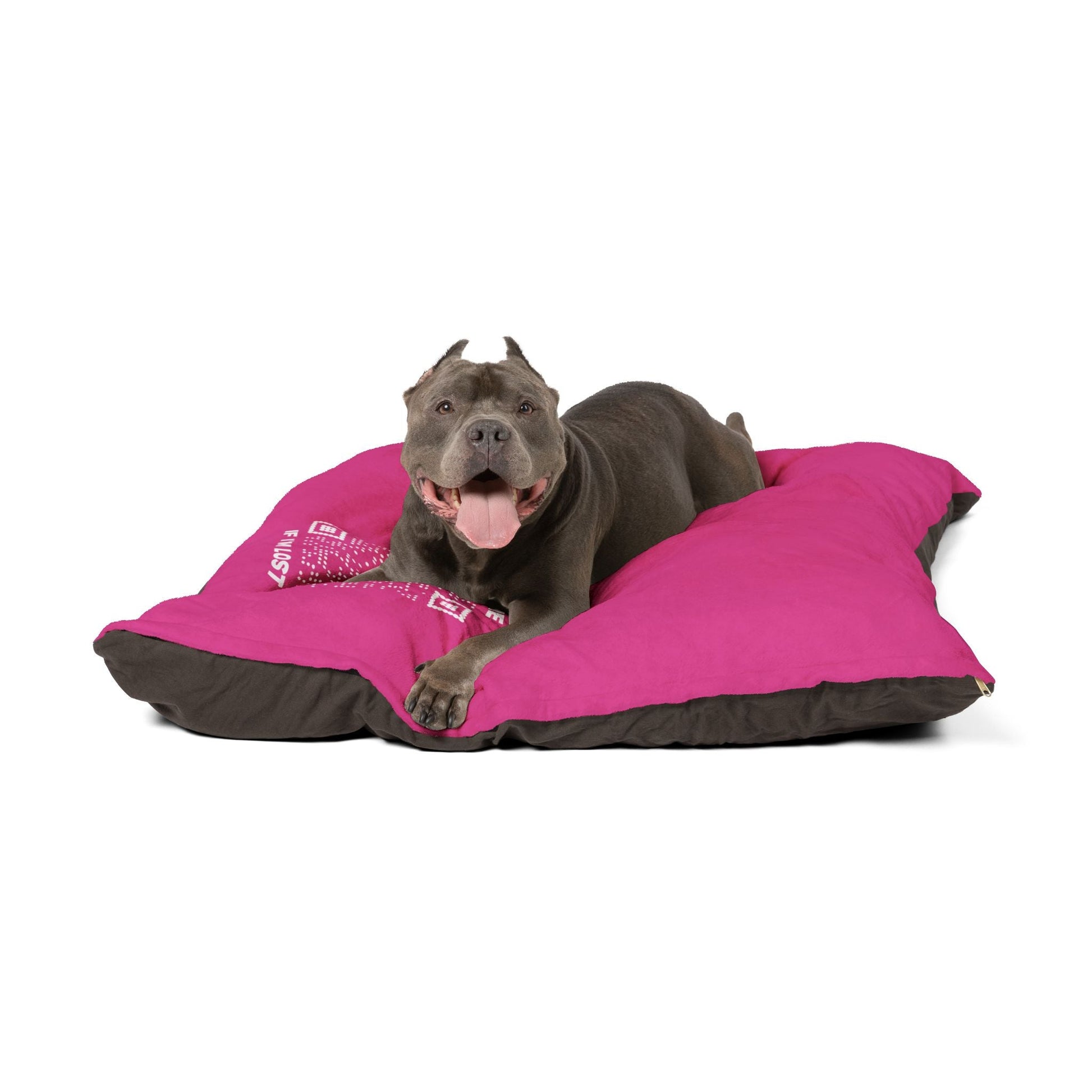 Pet Collection – Pet Bed – Fuchsia – Scan Me If I'm Lost - QR NATION