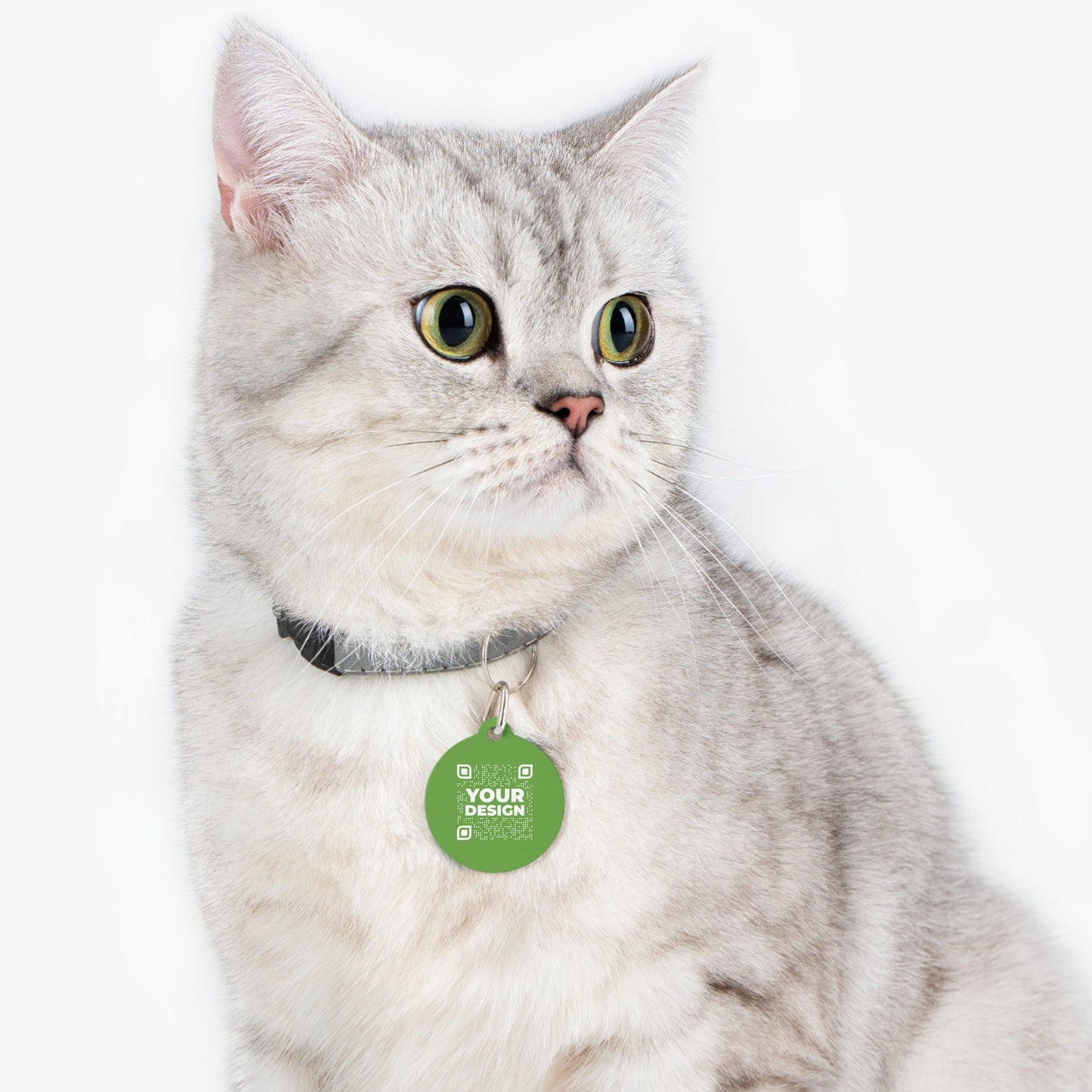 Tag – Green - QR NATION