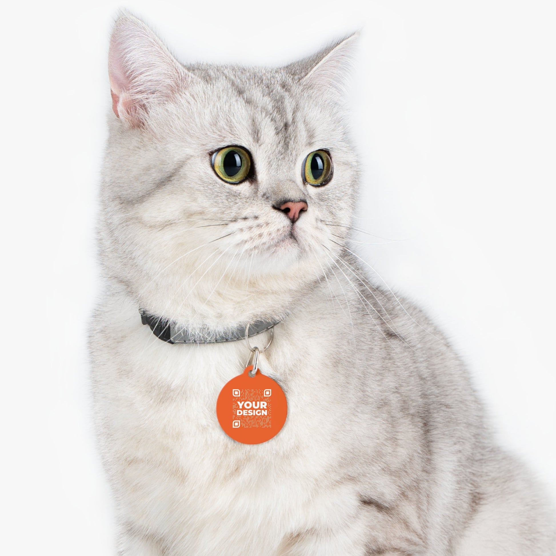 Tag – Orange - QR NATION
