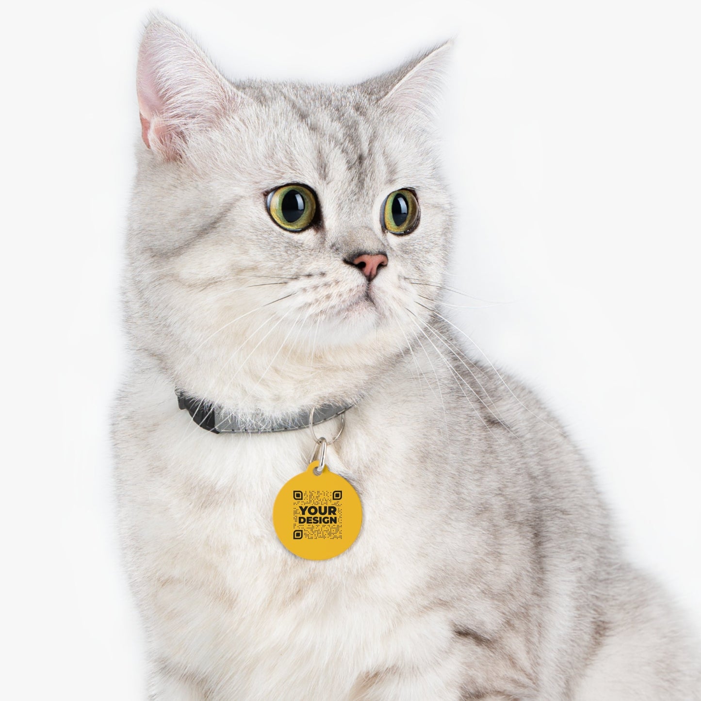 Tag – Yellow - QR NATION